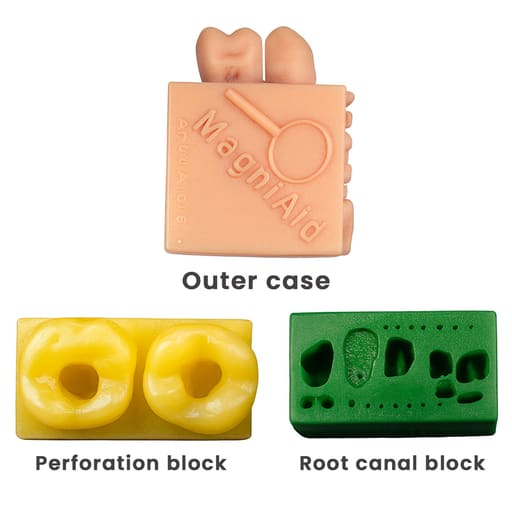 Toothxplore Magniaid Full Set Special Package For Endodontic Post-Graduates (Pack of 10)