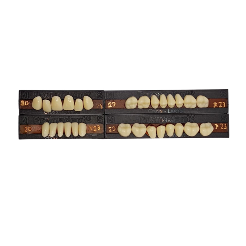 Premadent Teeth Set -D2-23