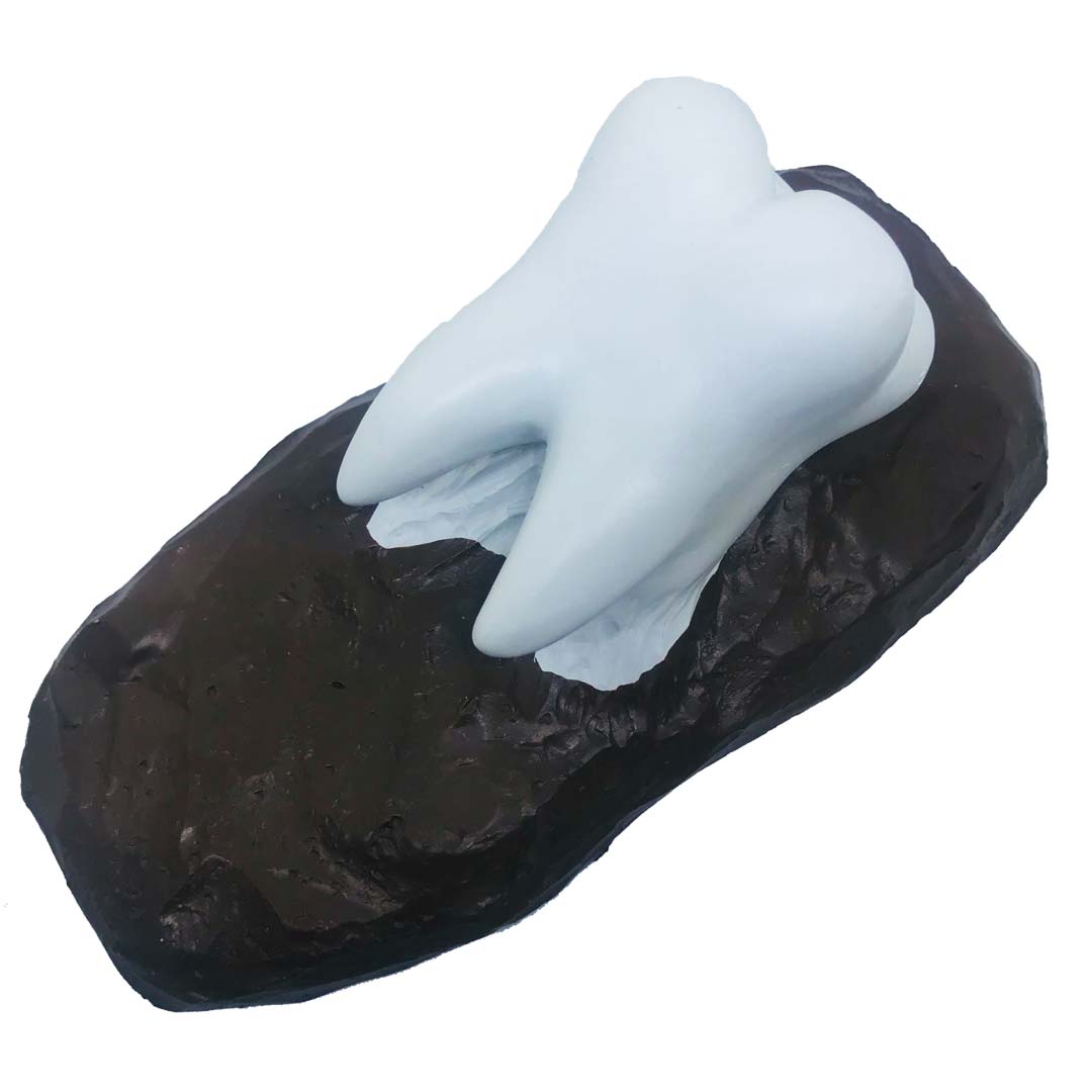 Dental Sculpture with 2 Craftsman MD- 111