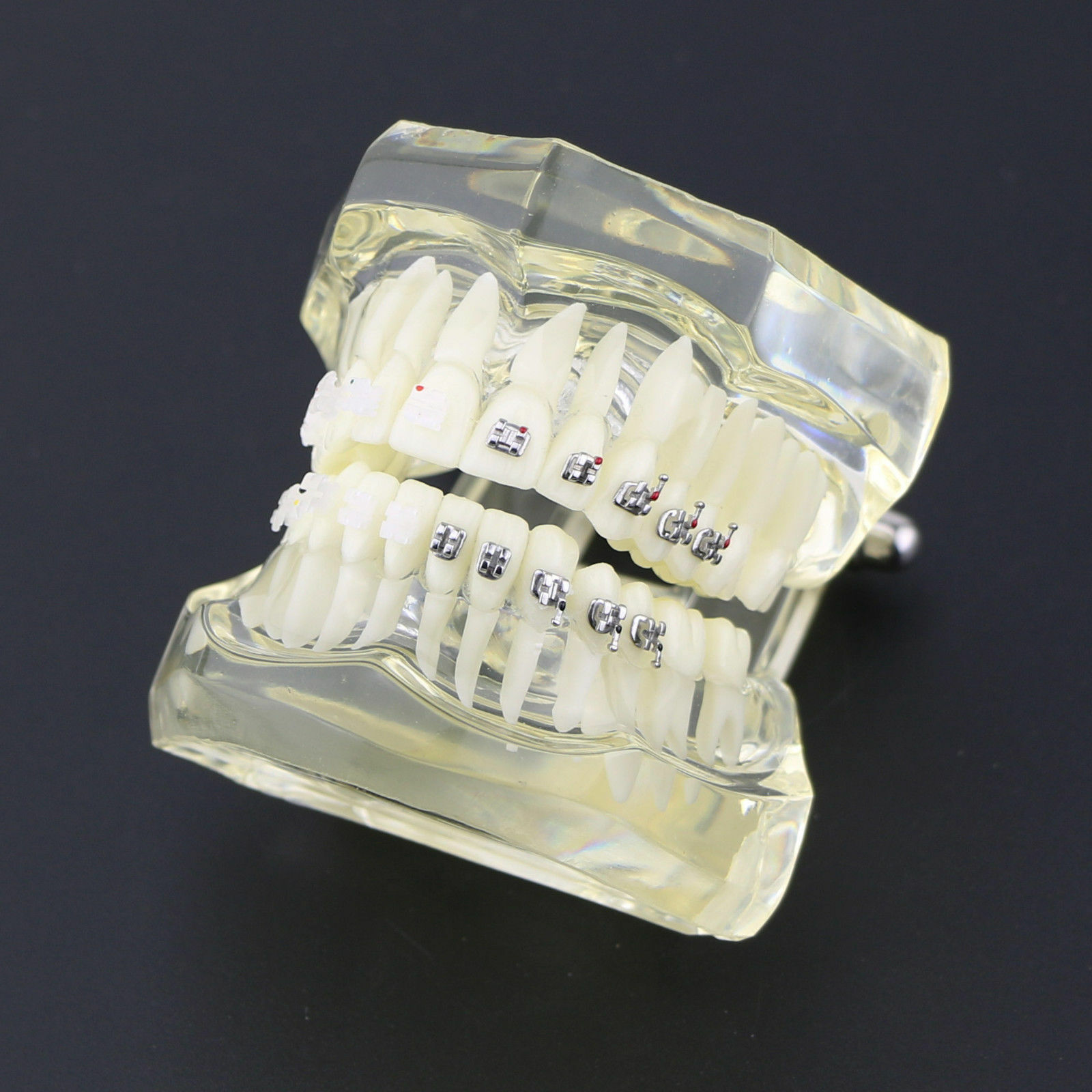 iDENTical Half Metal and Half Ceramic Brackets Orthodontic Models M3003