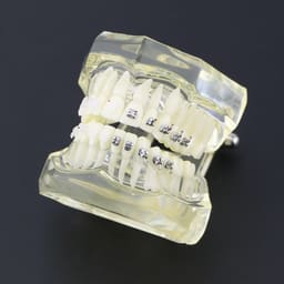 iDENTical Half Metal and Half Ceramic Brackets Orthodontic Models M3003 - 17