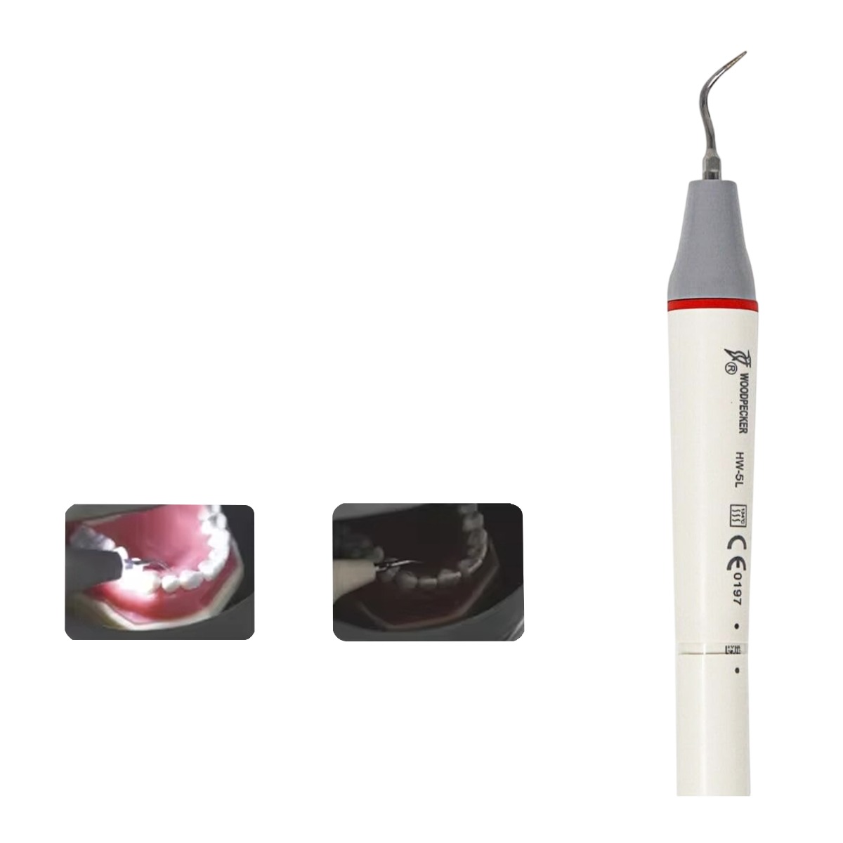 Woodpecker Hw-5l Optic Scaler Handpiece