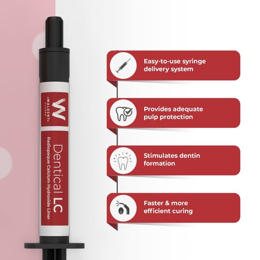 Waldent Dentical LC Calcium Hydroxide Liner