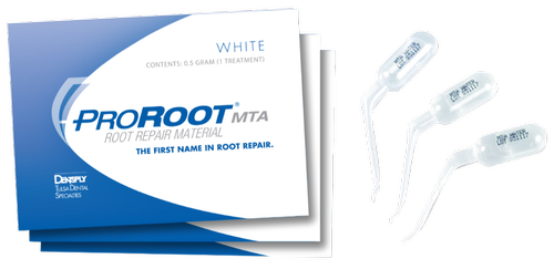 Dentsply Proroot MTA 0.5 Gm