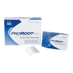 Dentsply Proroot MTA 0.5 Gm - 4