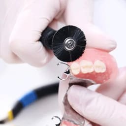 Jinguang Colored Denture Polishing Wool Brush HP     - 9