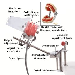 iDENTical Table Mount Portable Dental Manikin (M1003-3) - 6