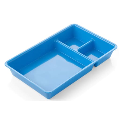 Oro Sectioned Instrument Trays - 3 Section (20.5x13cm)