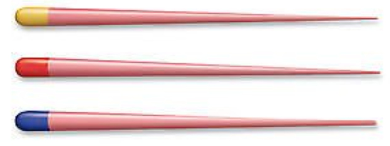 Dentsply Protaper Next Gutta Percha Points (Pack of 60)