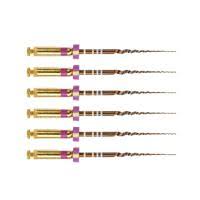 Dentsply Protaper Shaping File 1 (S1) 25Mm - Rotary Purple