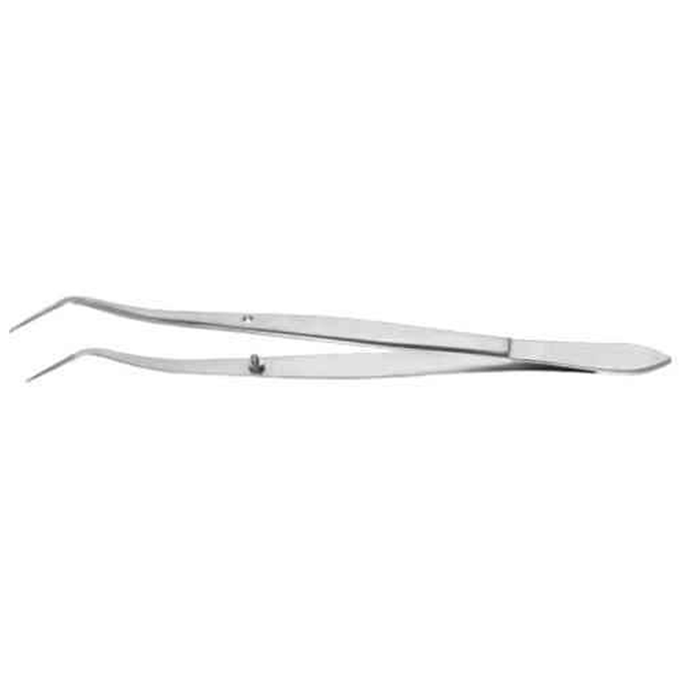 GDC Mariam Tweezer - Premium (Dp3)
