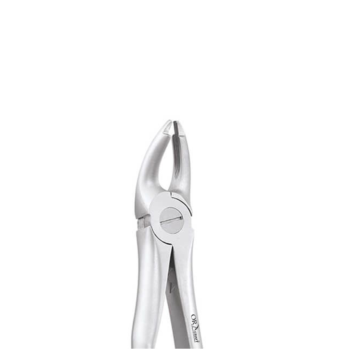 Oracraft Extraction Forceps Atraumatic
