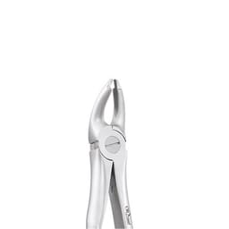 Oracraft Upper Premolars Extraction Forceps - Atraumatic (AFX7)