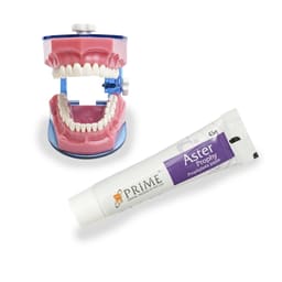 Prime Dental Aster Prophy - 6