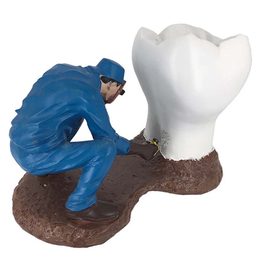 Dental Model With Craftsman MD-115