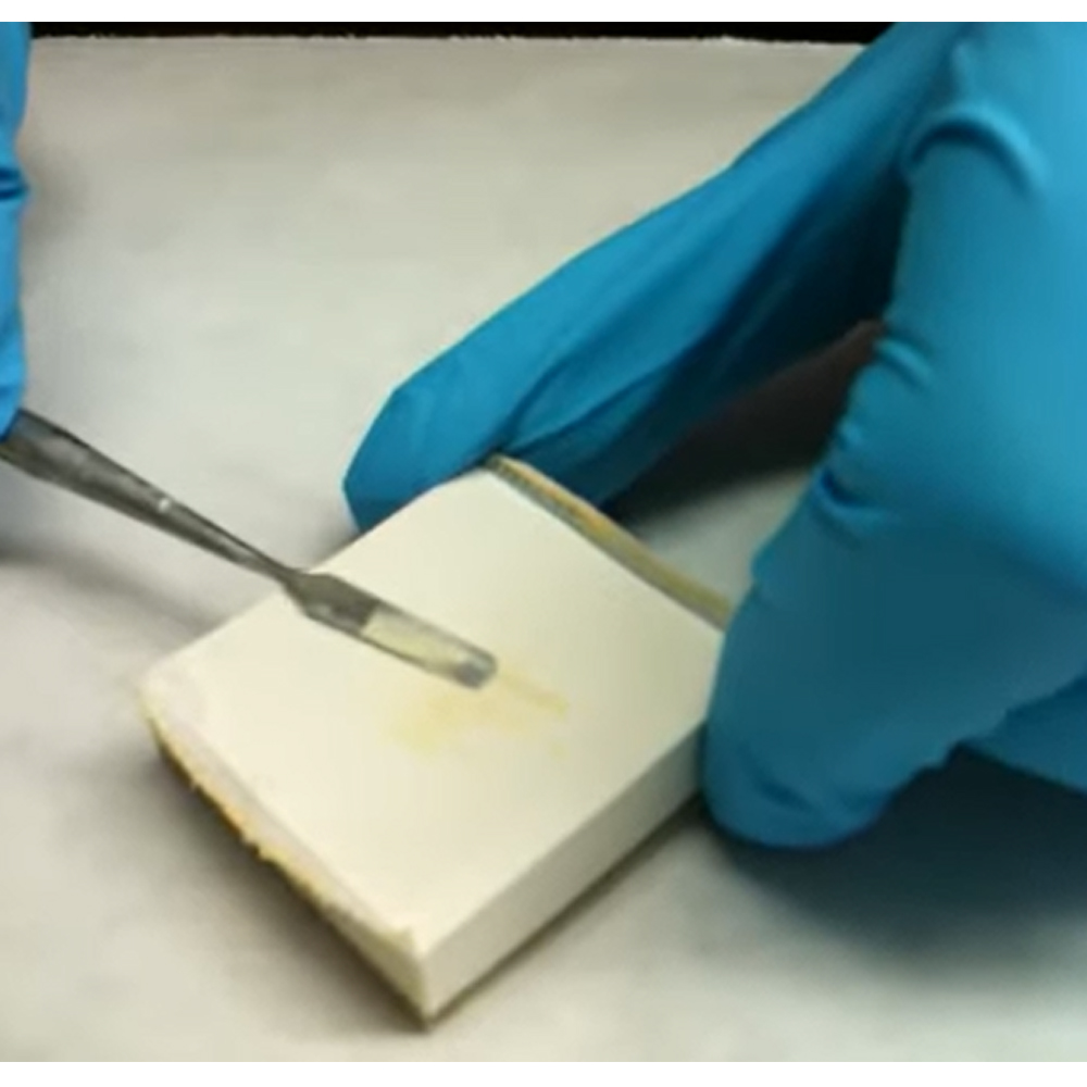 GDC Dental Dycal Applicator D/E With Spatula-1 (SP60616)