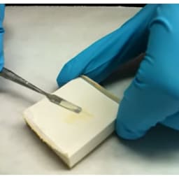 GDC Dental Dycal Applicator D/E With Spatula-1 (SP60616) - 6