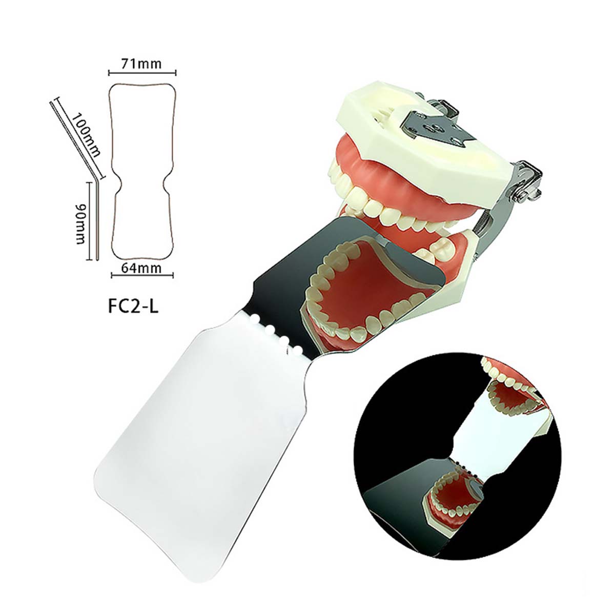 U Ortho Double Sided Stainless Steel Photographic Mirrors Angulated