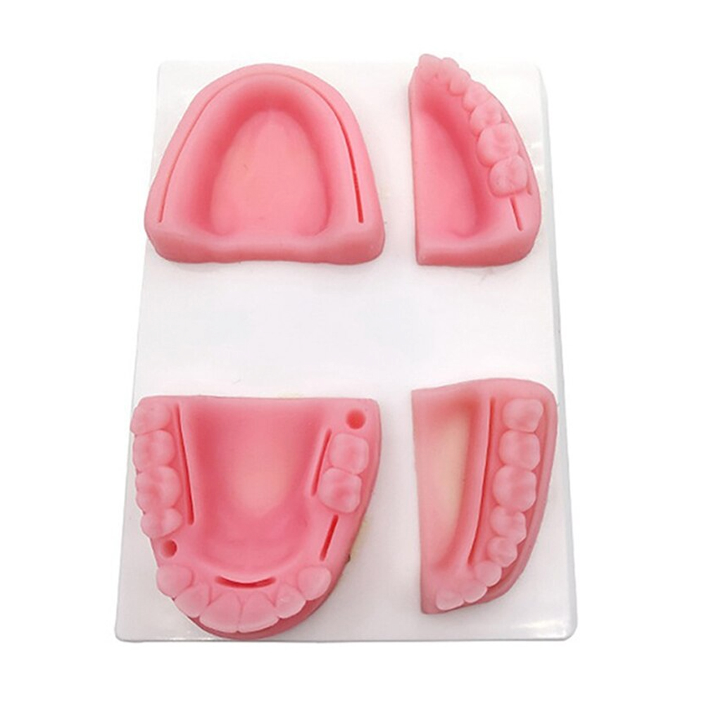 iDENTical Dental Educational Suture Model	
