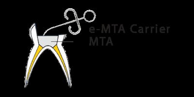 Kids-e-Dental E-MTA (Mineral Trioxide Aggregate)