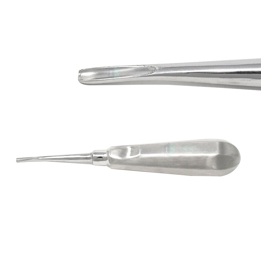 GDC Root Elevators Coupland Standard (E1c)