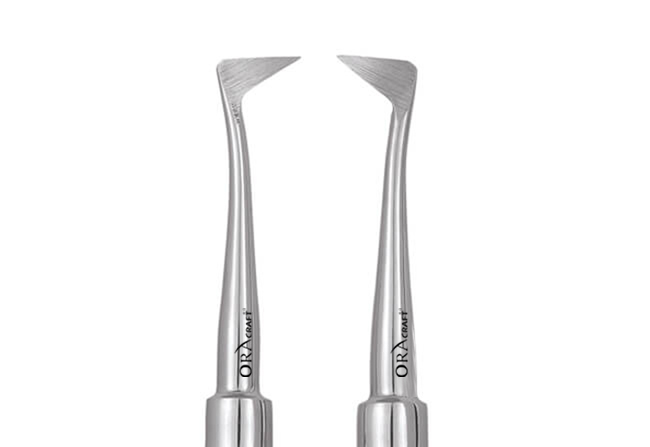 Oracraft Seldin Root Elevator