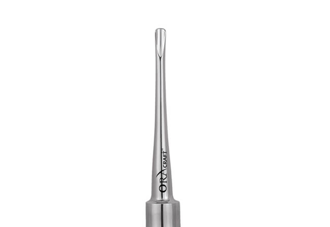 Oracraft Seldin Root Elevator