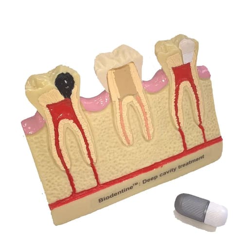 Septodont Biodentine Kit ( Pack of 5 capsules )