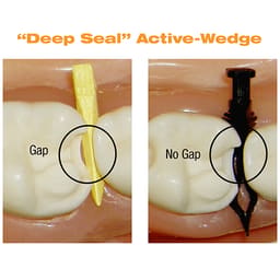 DualFo