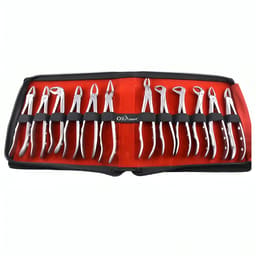 Oracraft Offer Package Premium With Trolly Bag - OPP - 4
