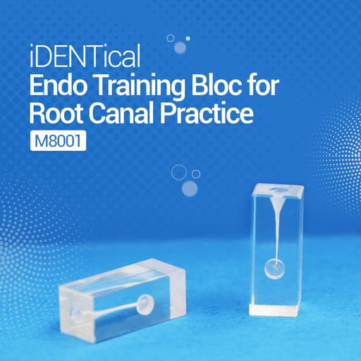 iDENTical Endo Training Block For Root Canal Practice - M8001