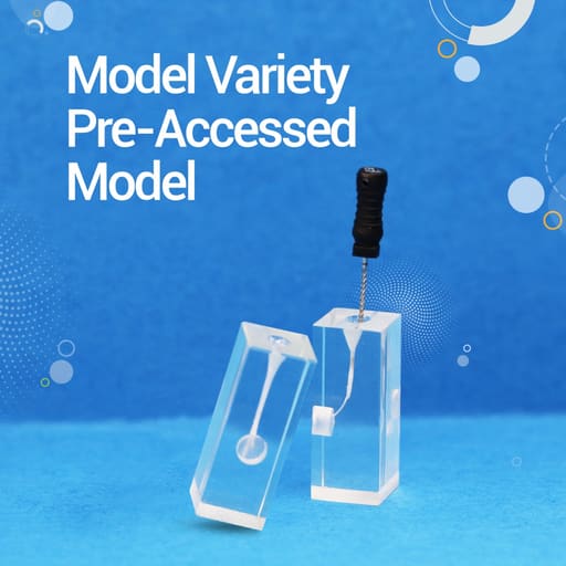 iDENTical Endo Training Block For Root Canal Practice - M8001
