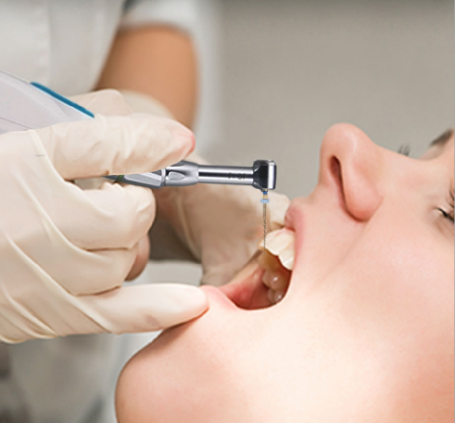 Waldent EndoPro Cordless Endomotor