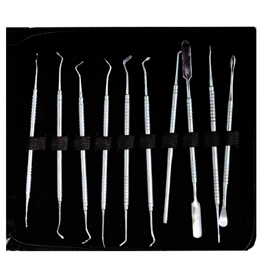 Dr. Steve Conservative Instrument Kit (Set of 20)