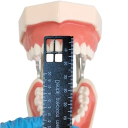 ET Dental Precision Measuring Ruler - 7