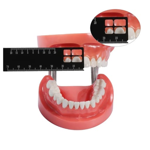 ET Dental Precision Measuring Ruler
