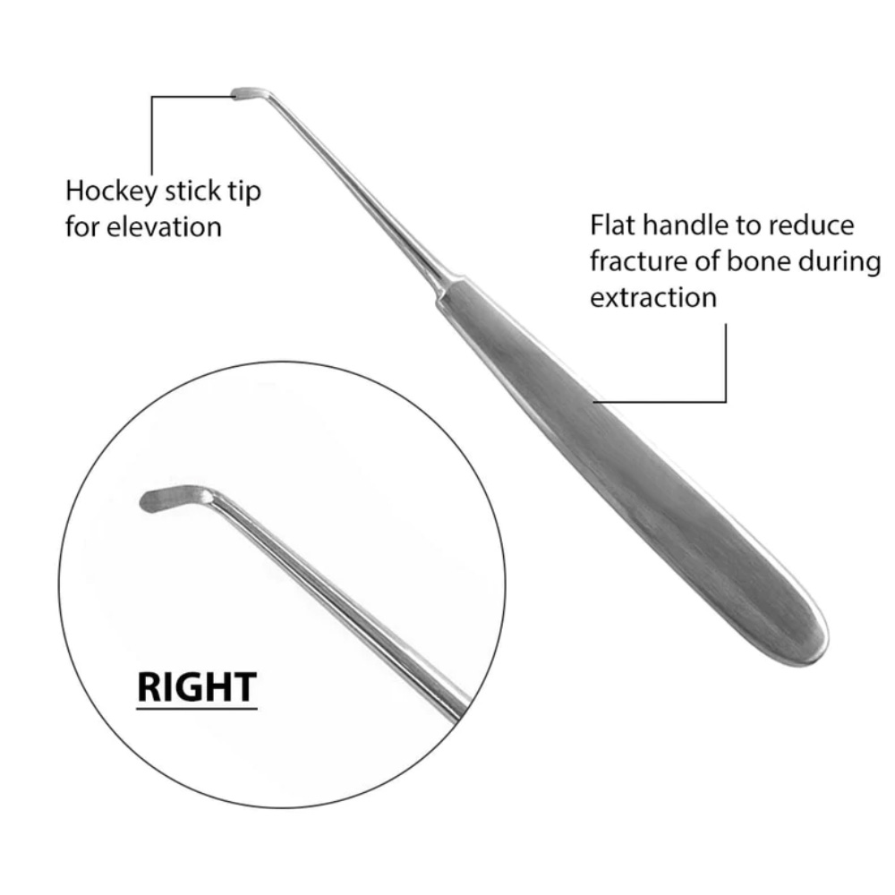 GDC Root Elevators Warwick James - Right (Ewjr)