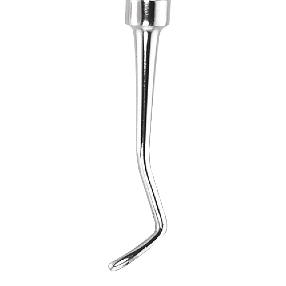 GDC Spoon Excavator Oval Shape #1 EXC19WH