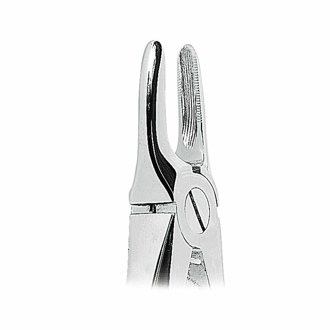 Waldent Tooth Extraction Forceps Upper Roots & Incisor, No.29 (1/117)