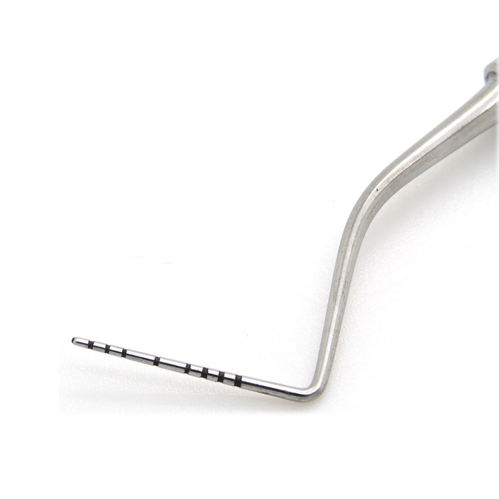 GDC Explorer With William Probe # 6 (EXP23/QW6)