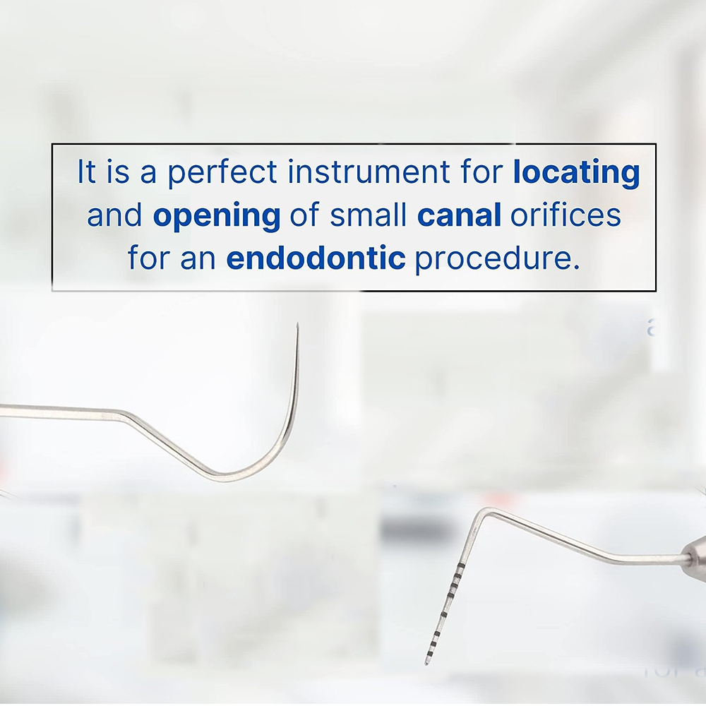 GDC Explorer With William Probe # 6 (EXP23/QW6)