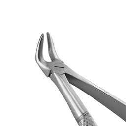GDC Extraction Forceps Lower Roots - 31 Standard (FX31S) - 4
