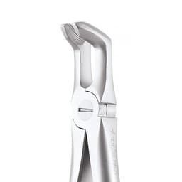 GDC Extraction Forcep Lower Third Molars - 79 Atraumatic (AFX79) - 2