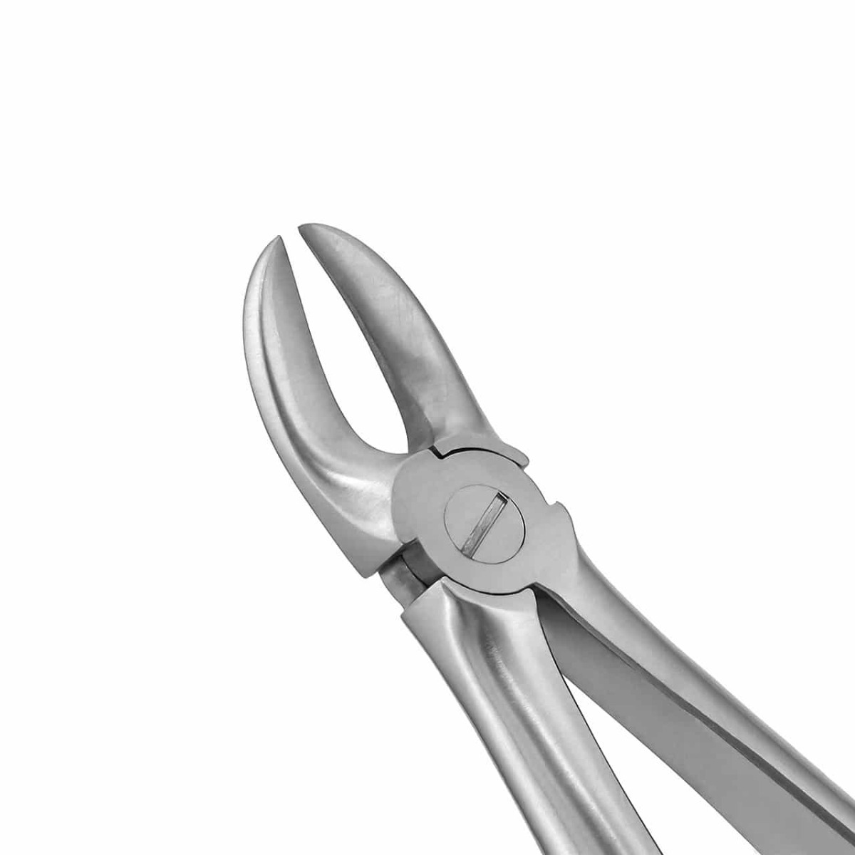 GDC Extraction Forceps Separating Upper Molars - 55 Standard (FX55S)