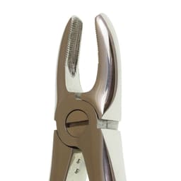 Waldent Tooth Extraction Forceps Upper Anteriors, No.1 (1/101)  - 3