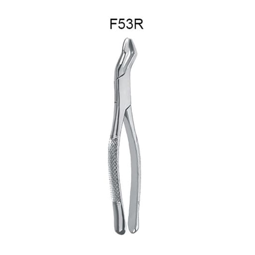 GDC American Forceps Molars First & Second Upper Molar Teeth Right # 53R (F53R)