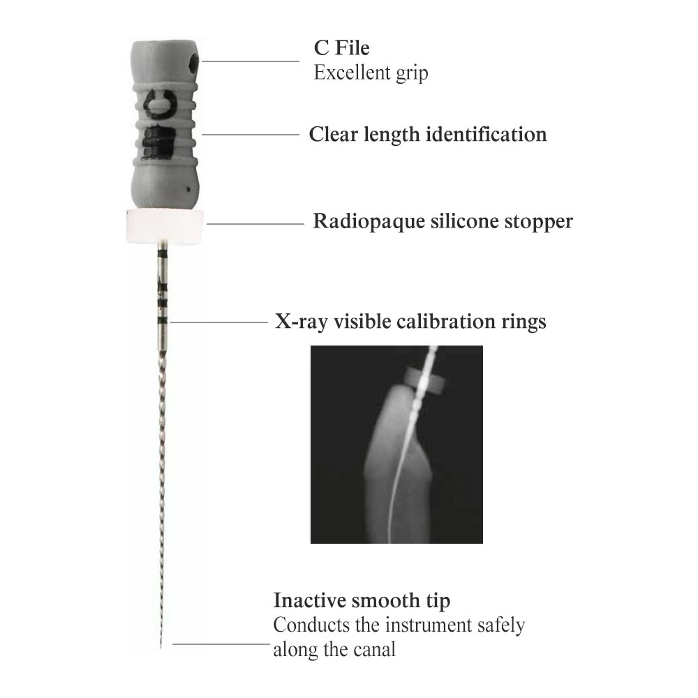 Waldent C Files 25mm ( Pack of 4 )