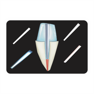 Ammdent Glass Fiber Post