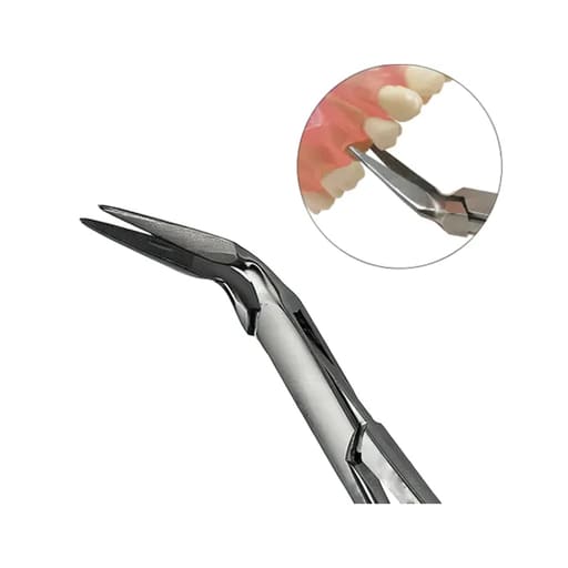 Waldent Stieglitz Root Fragment Splinter Forceps