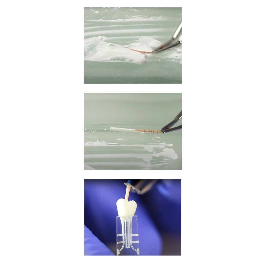 Septodont Bio Root RCS